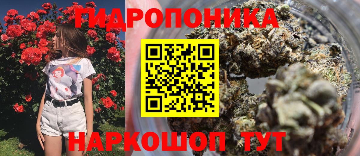 Бошки Шишки конопля Людиново